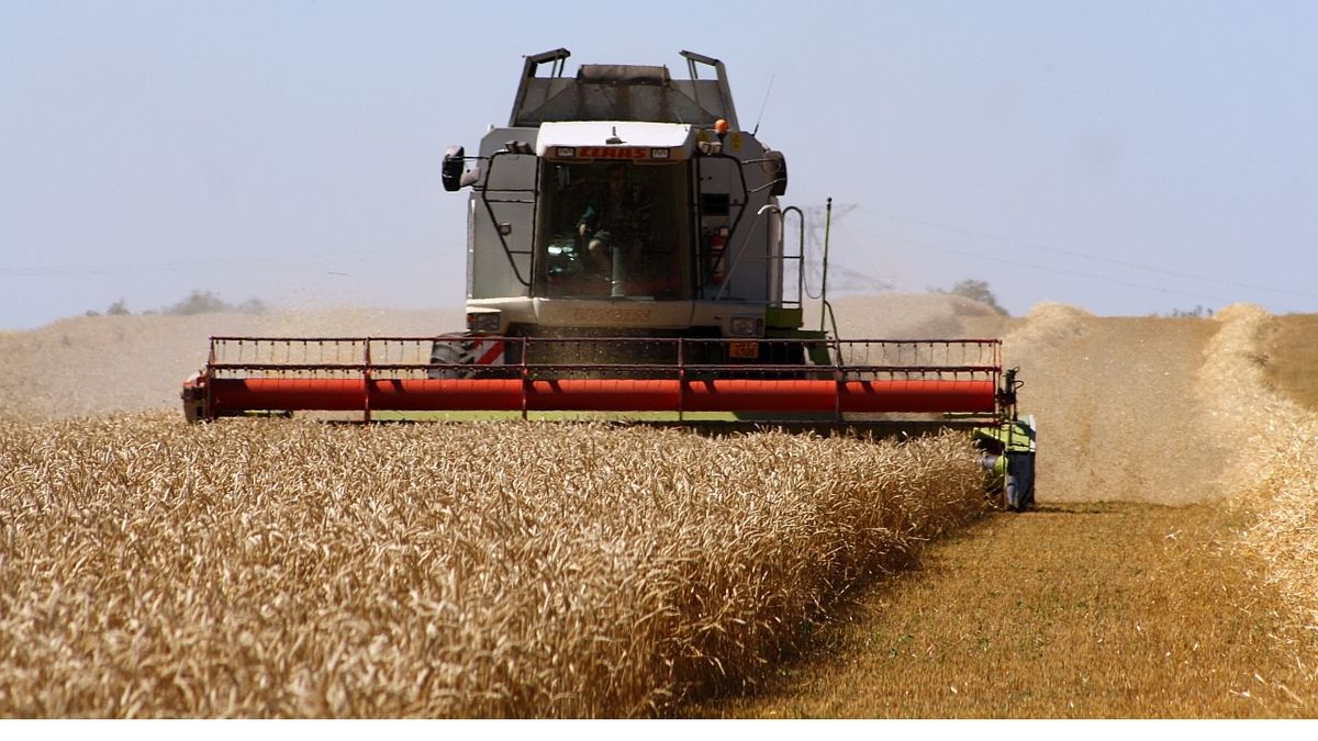 Ukrajina dodala do Maďarska obilí kontaminované toxiny